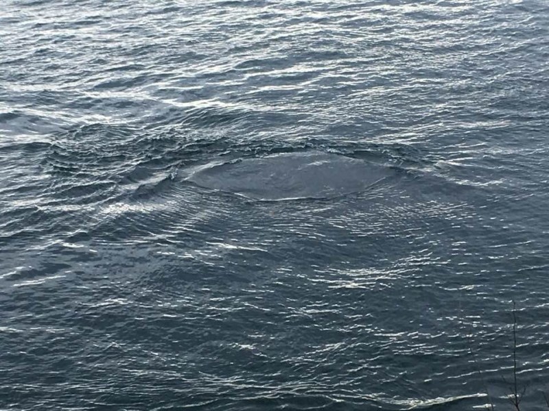 Hole in the Sea, video, Sources & Resources
artist-in-resident Praputnjak, Croatia, 2017. Photo: Jacqueline Heerema