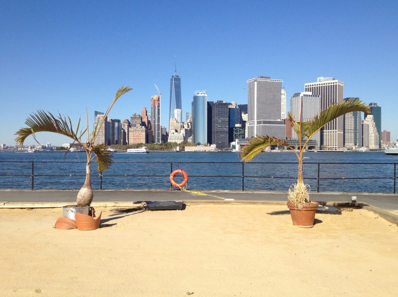 Now Wakes The Sea, exchange artist-in-residency programs since 2012.
artist-in-resident at Governors Island, NYC, 2015. Photo; Jacqueline Heerema.