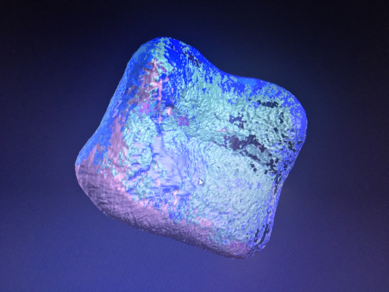 3-d scan of fossil, second phalange of Wild Horse, thanks to FabLab @EKWC.