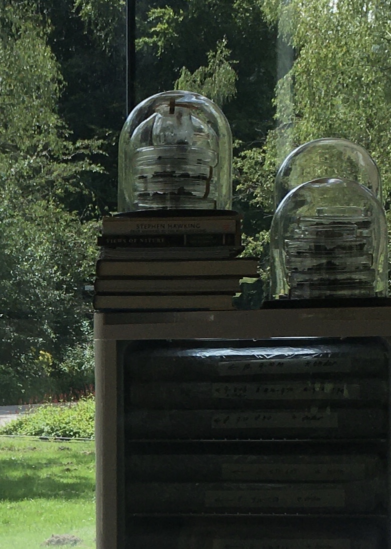 Detail 'Breath of Soil(s)' at Glazen Huis, Amstelpark, Amsterdam, Jacqueline Heerema.