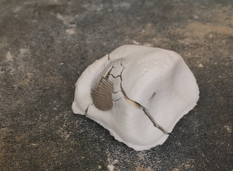 Conversation - with - Time