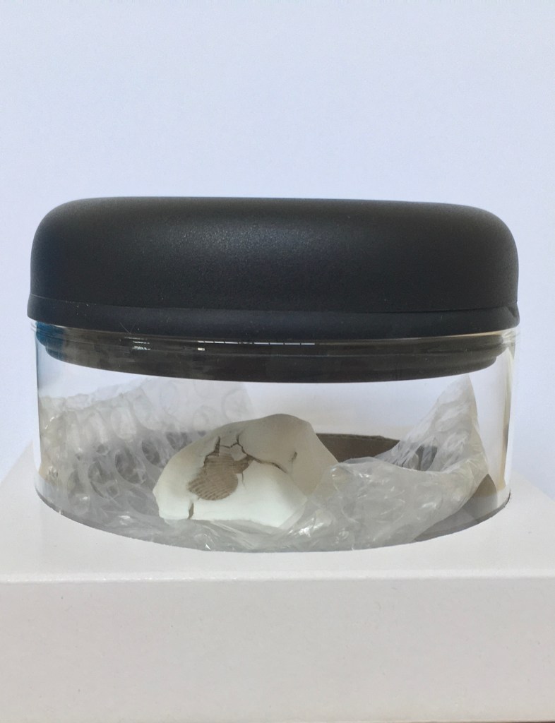 Vacuum canister to (try to) prevent recent test to suck in moist air & explode...