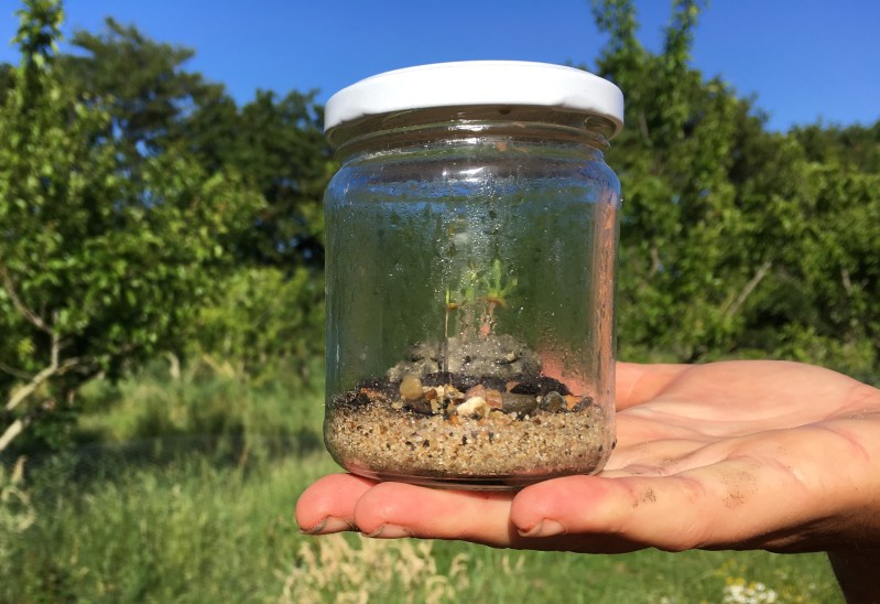 Landscapery, Gardening without Borders
Wadden Island Terschelling, Oerol 2017
﻿