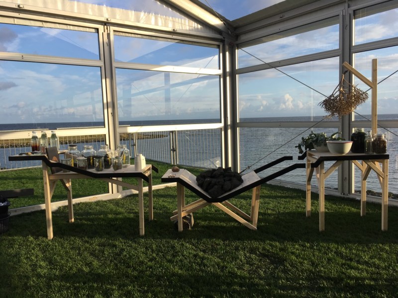 Destination Highway Afsluitdam, Afsluitdijk 2017 a rock shore habitat in between 2 Natura2000 areas