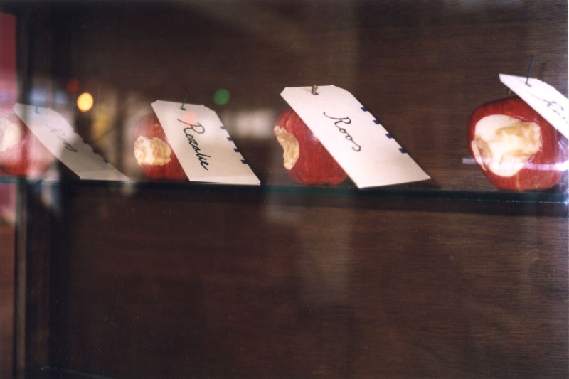 Ik noem haar Roos, 2000-2005
constructs of identity themed around a childhood memory