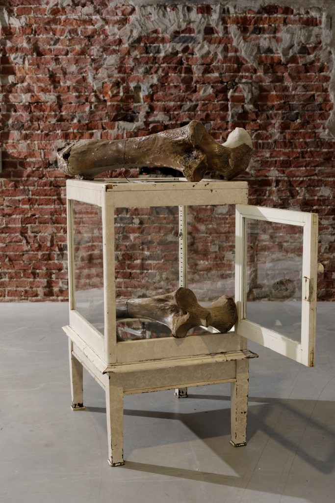 is a fossil in a museum a fossil or an artifact? Re-cast as repository, damaged Mammoth fossil NMR 6787, re-construct with North Sea Fossils Porcelain, @ekwc, 2021. Photo: Luuk Smits.
