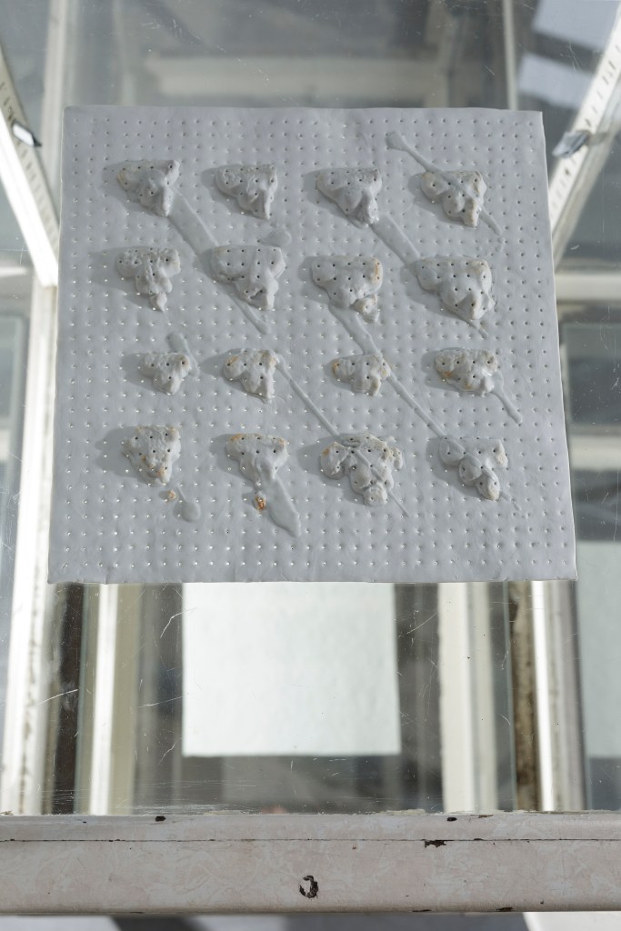 aardtijd | foreshadowing #4: pressing porcelain clay with Celadon glazing of Iron Age artifacts, punctured, reduction fired, mirroring, 2021. Photo: Luuk Smits.