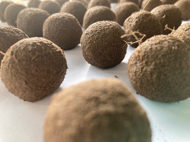 Loam offerings Dommel, part of content of DIY Dommeltrommel. Photo: Jacqueline Heerema.