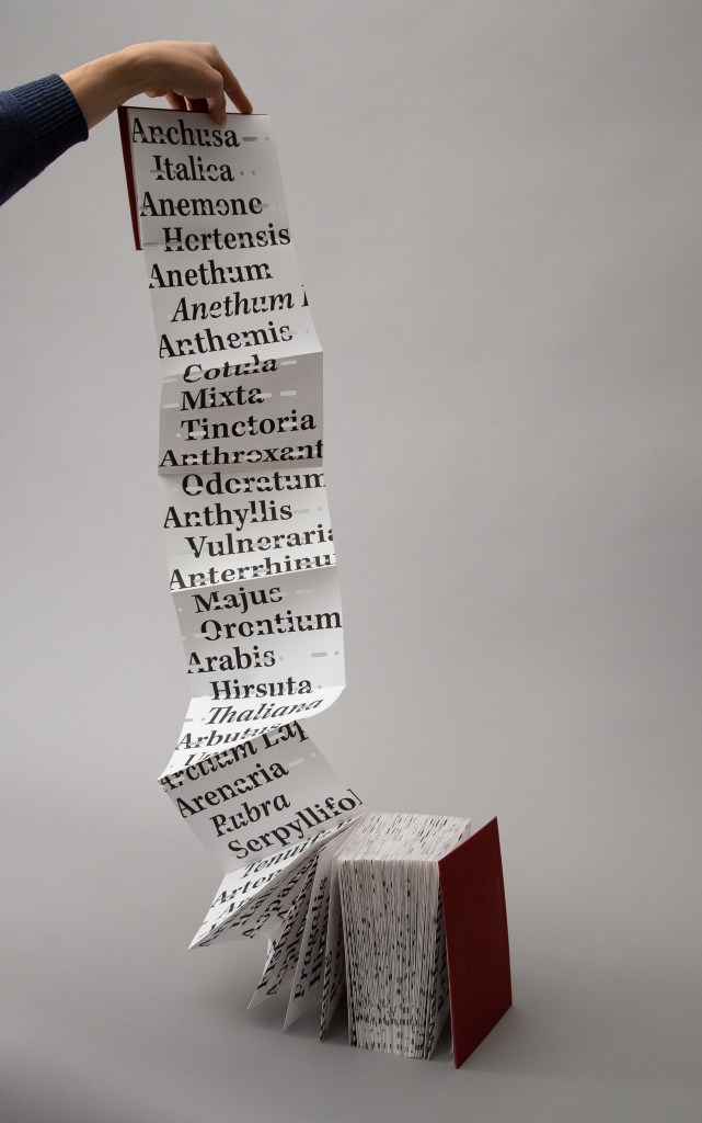 Leporello Flora of the Colosseum by Eline Kersten