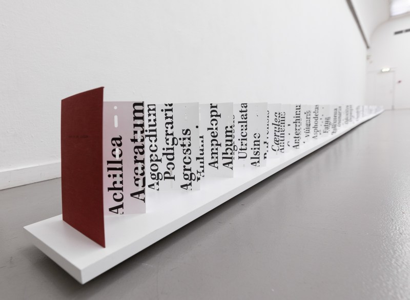 impression of exhibition, photo Maarten Nauw.