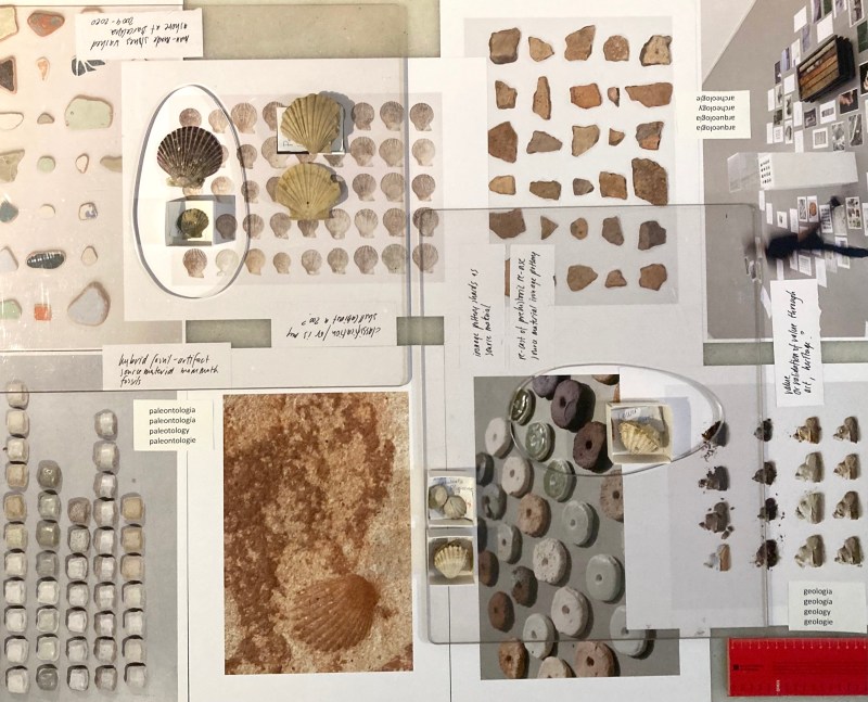 Detail Table 2, sourcing edible bivalve shells at Mercat de Boqueria and Cardiidae, fossil shells of Pliocene, dated 5,3 – 2,6 million YBP, with special thanks to Litosphera, Barcelona. 
June 2022, Jacqueline Heerema.
