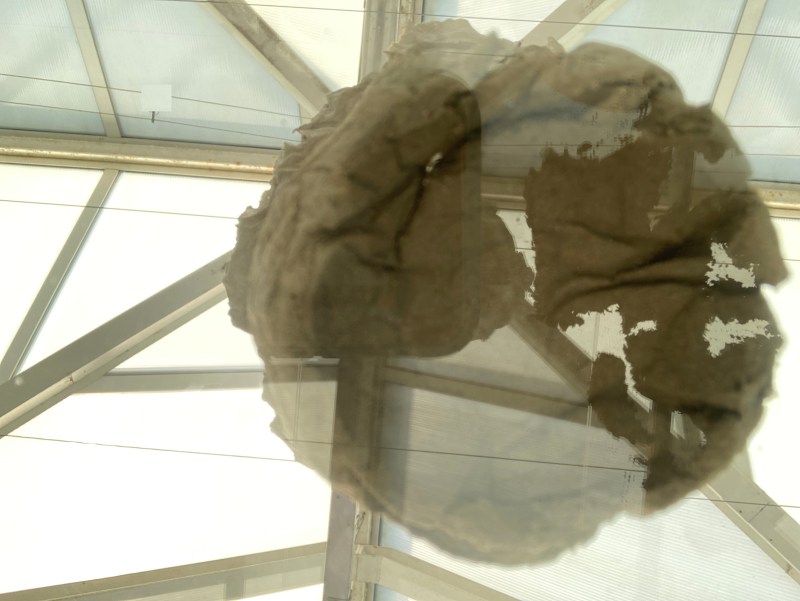 week 2 artist-in-residency at Park Studio de Orangerie .., testing with unfired till (keileem). Jacqueline Heerema, 2022.2