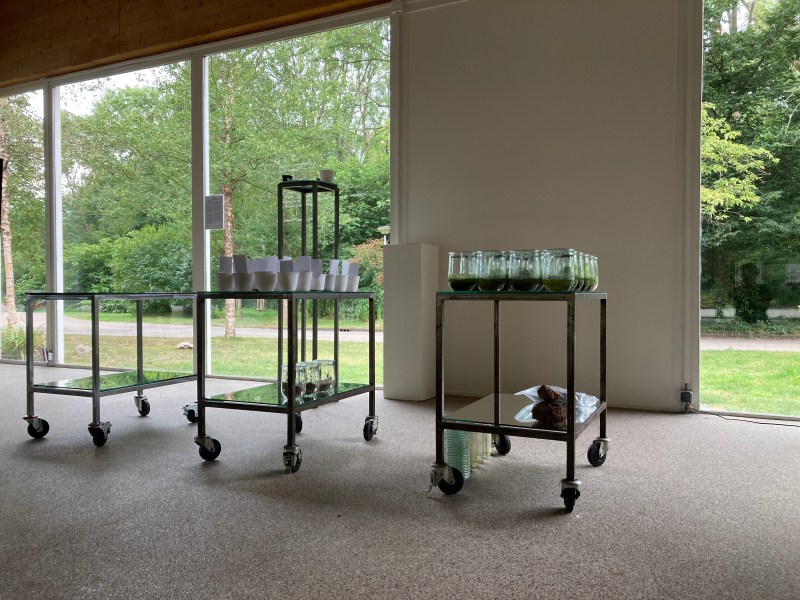 Week 5: the third table arrived for the exhibition, to be filled after the Swamp Walk! 
With special thanks to Archie Amsterdam.