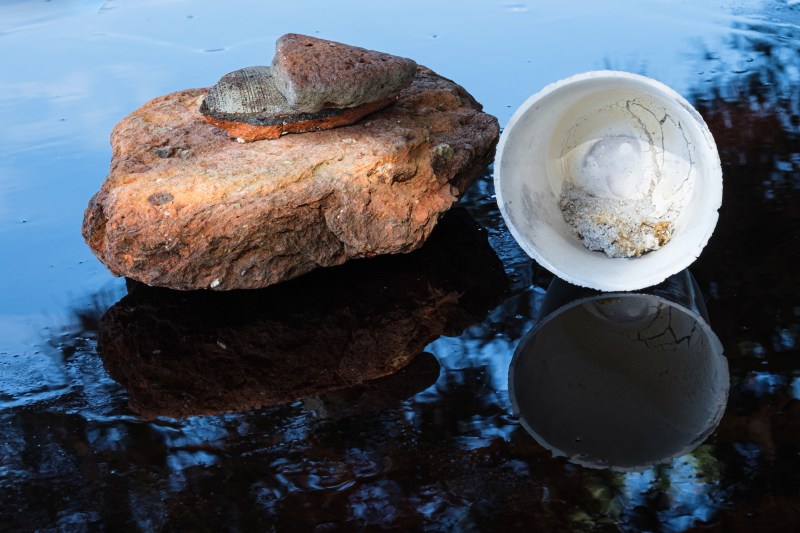 shape-shifting sun, water, minerals … Cup with Soul , Plantscape IV, artist-in-residency Clay Kitchen Portugal; photo Theo Mahieu, 2023