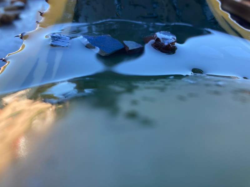 shape-shifting sun, water, minerals...