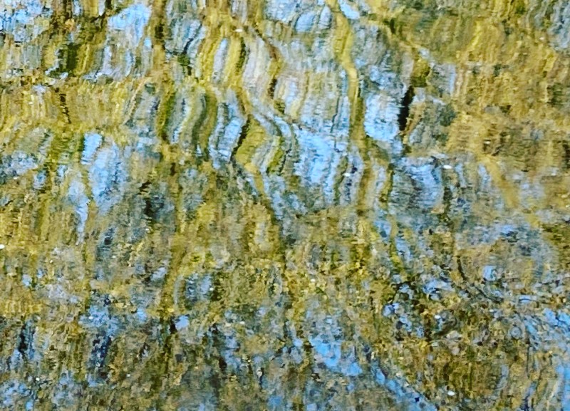 shape-shifting water, trees, reflections... The Hague 2022
