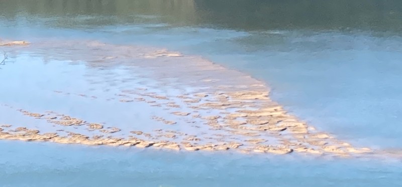 Shape-shifting ocean, river, sediments..., Portugal 2023