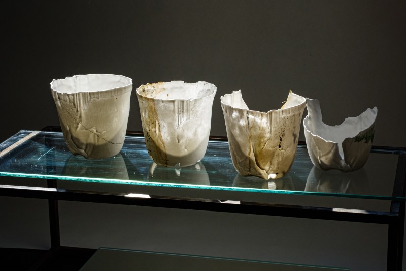 2023: organic glazing - glazing by nature, sun, water, mosses, algae