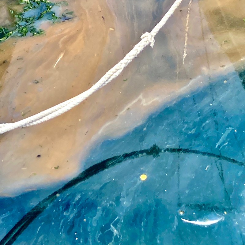 2023: sailboat residency Light Observatory with artist Natali Blugerman