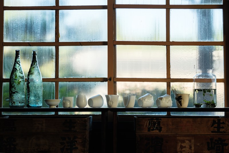 2024: Seeking the light of the shadow, exhibition botanical porcelain, artist-in-residency with Kouraku Kiln at Big Ginkgo Izumiyama Community Center, Arita Japan