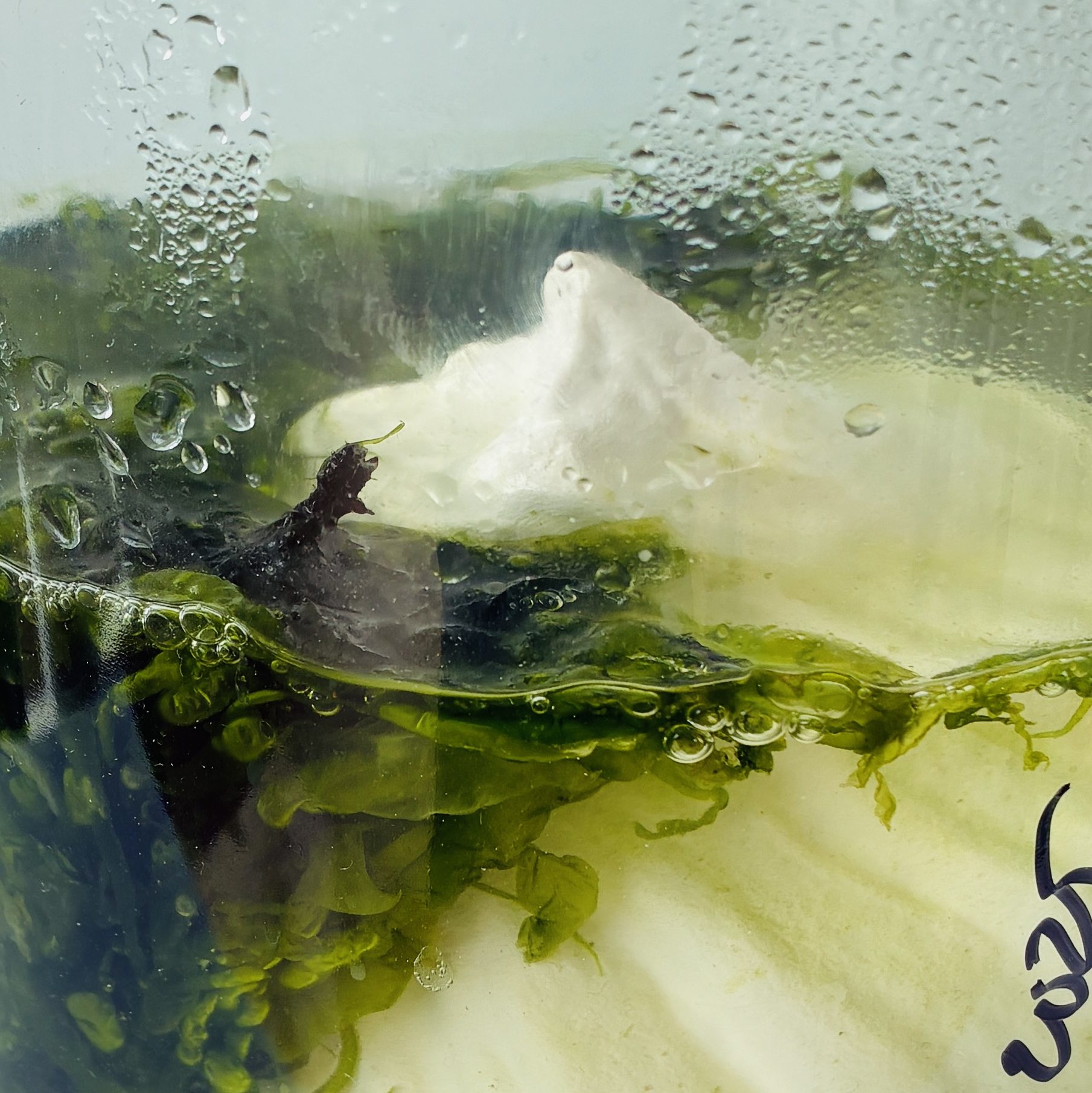 2025: Touching upon time & climate, artist-in-residency at Cool Clay Collective, Rotterdam