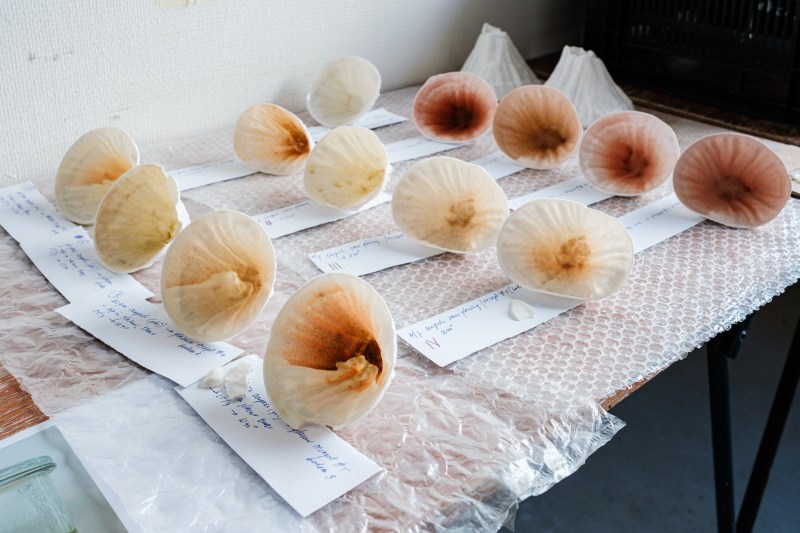 material research of hybrid body and - glazing with -164 m subsurface soils