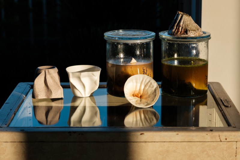 Still-Life, next level future paleo porcelain 2025
artist-in-residency at Cool Clay Collective, Rotterdam, 2025