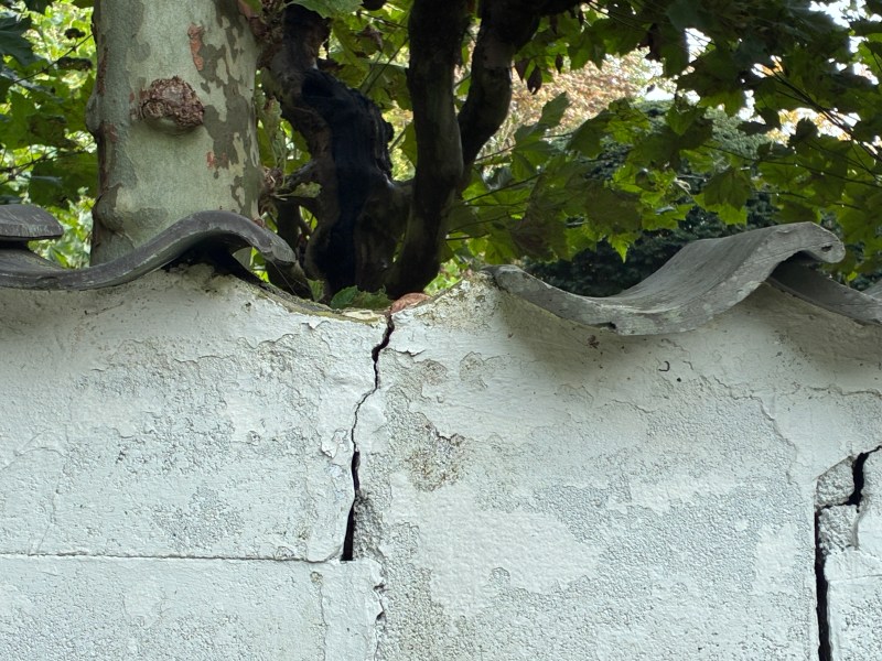 emptiness, as in missing a roof tile...a potential for co-habitation....