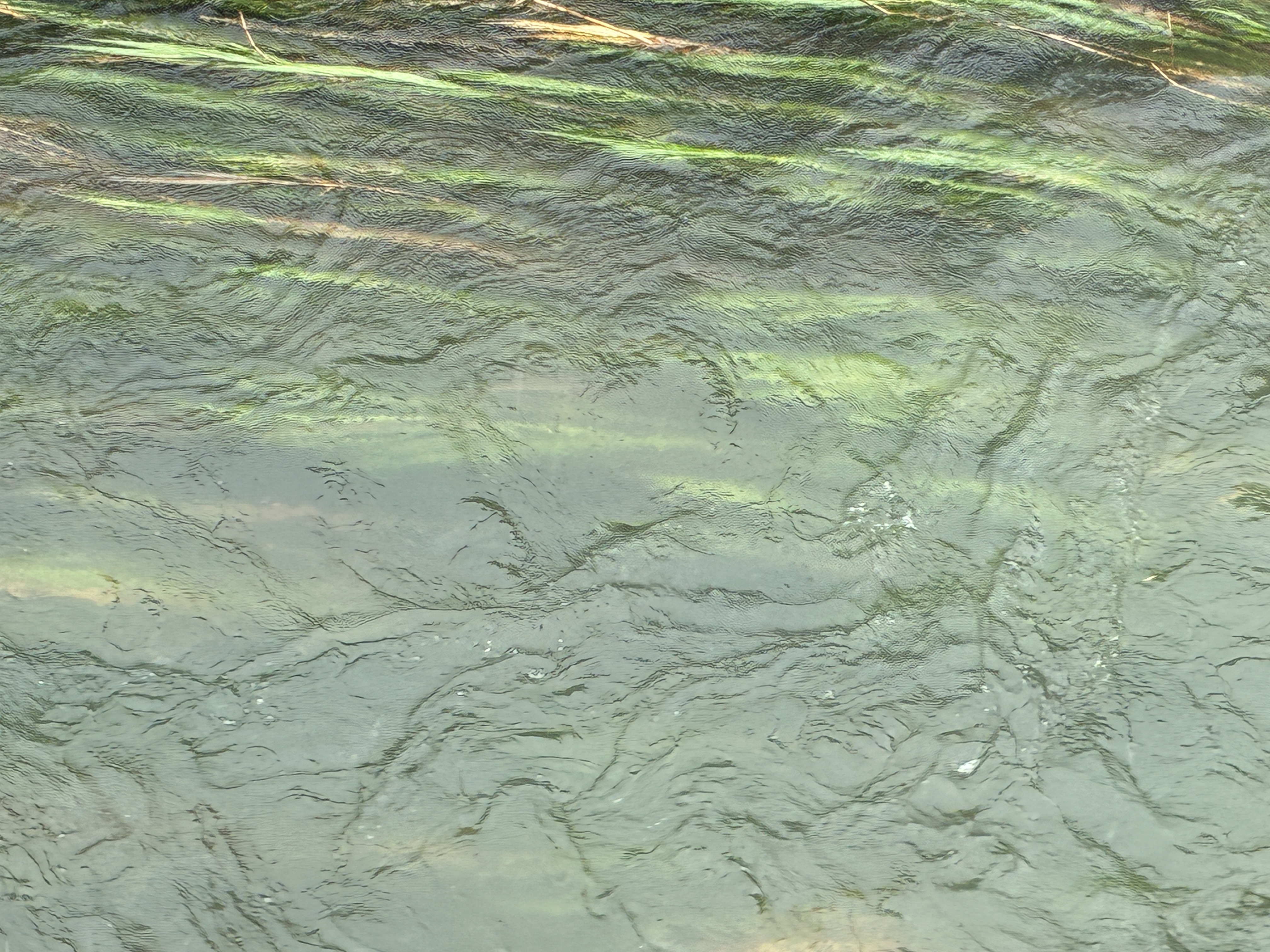 seasonal influences - rainy season - swollen river